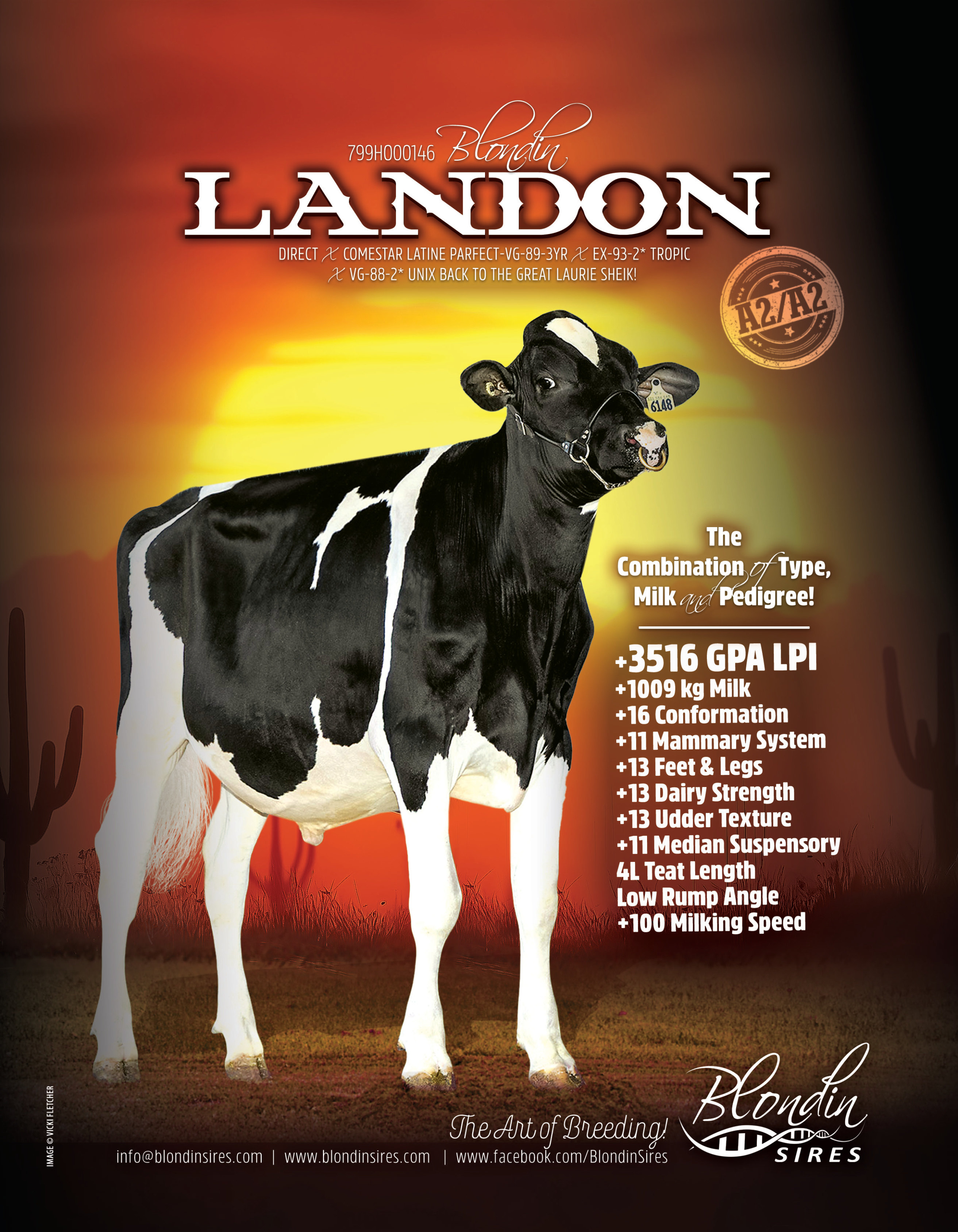 LANDON — 799HO00146